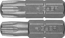 Биты ЗУБР "МАСТЕР" кованые, хромомолибденовая сталь, тип хвостовика C 1/4", T30 - 1 шт, Т40 - 1 шт, 